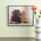 12 Pack: Black Multipurpose Frame, Basics by Studio Décor®